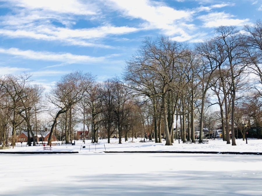 IMG_0085.jpg?type=w966