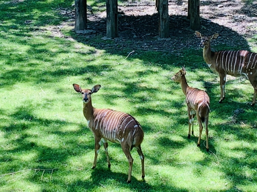 IMG_4195.jpg?type=w966