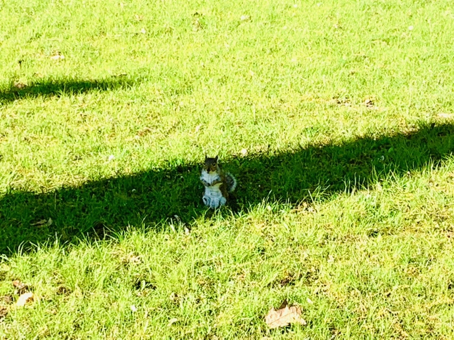 IMG_0608.jpg?type=w966