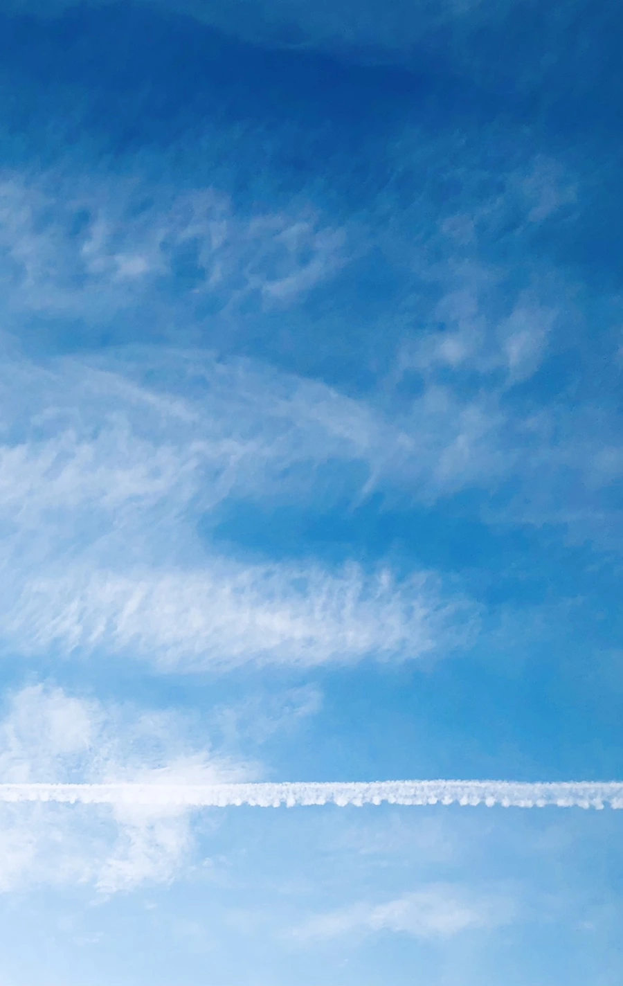 IMG_2980.jpg?type=w966