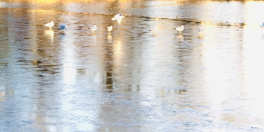 IMG_0855.jpg?type=w966