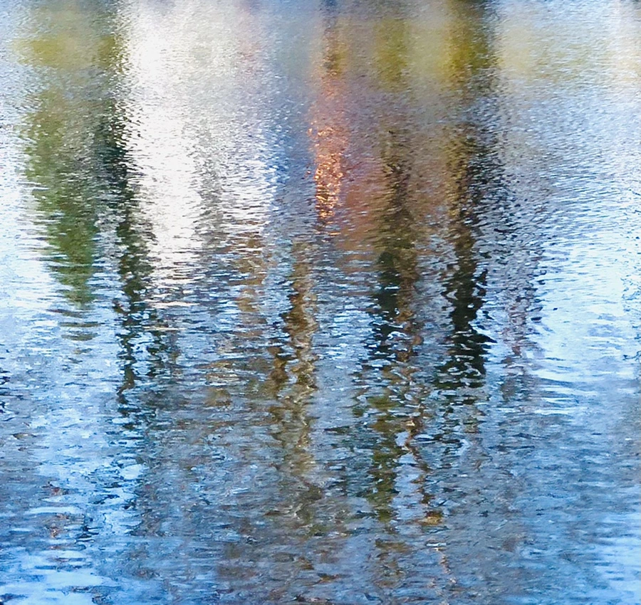 IMG_9760.jpg?type=w966