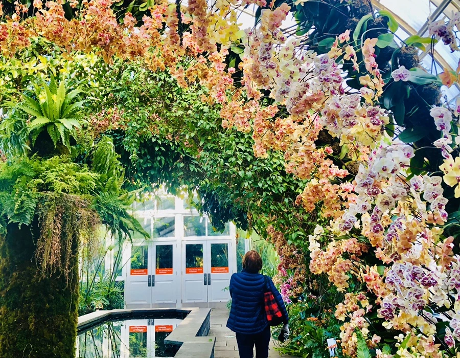 IMG_6281.jpg?type=w966