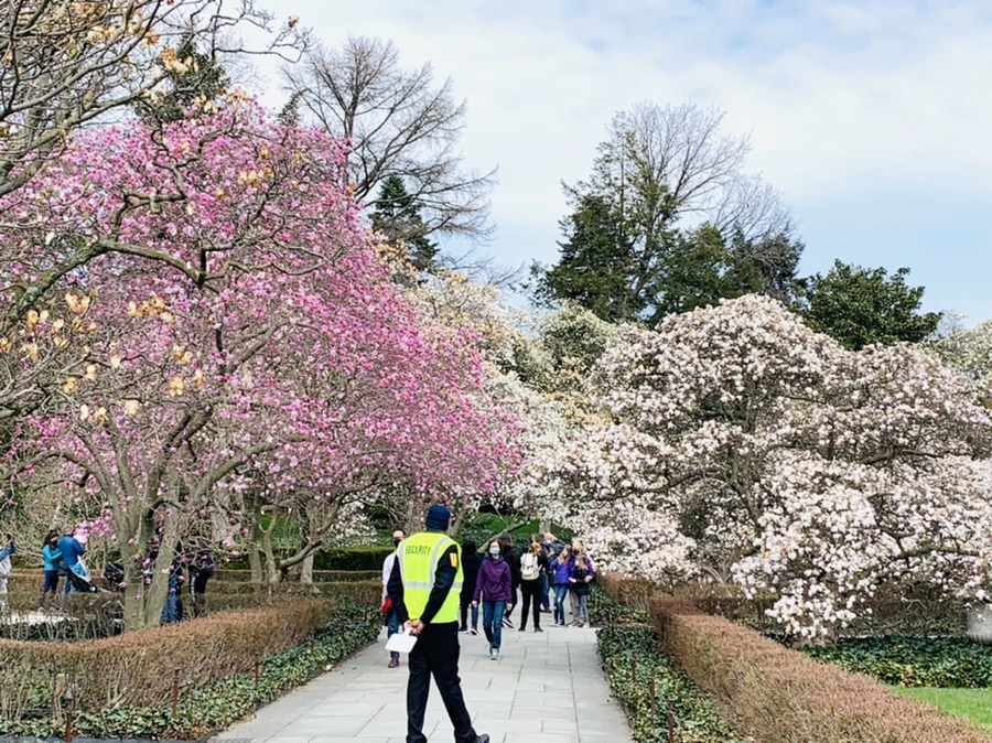 IMG_7188.jpg?type=w966