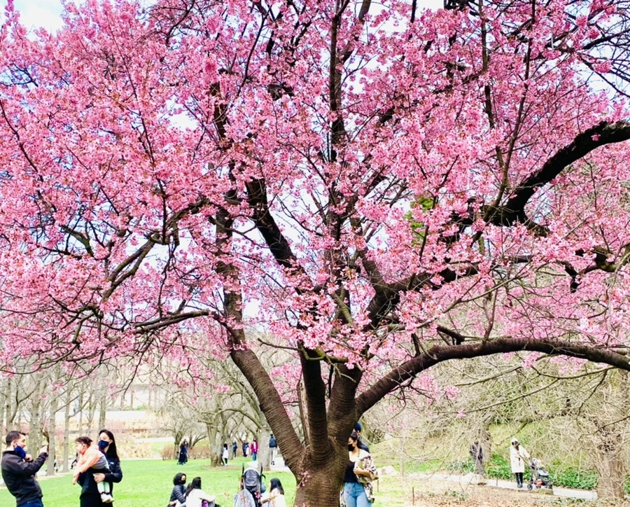 IMG_7082.jpg?type=w966