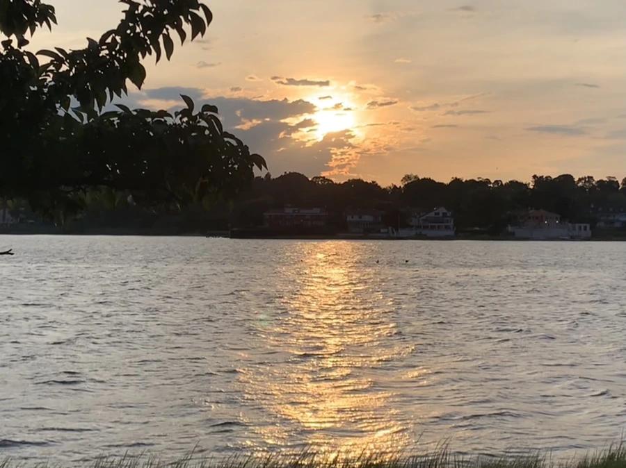 IMG_1793.jpg?type=w966