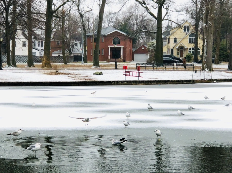 IMG_6311.jpg?type=w966