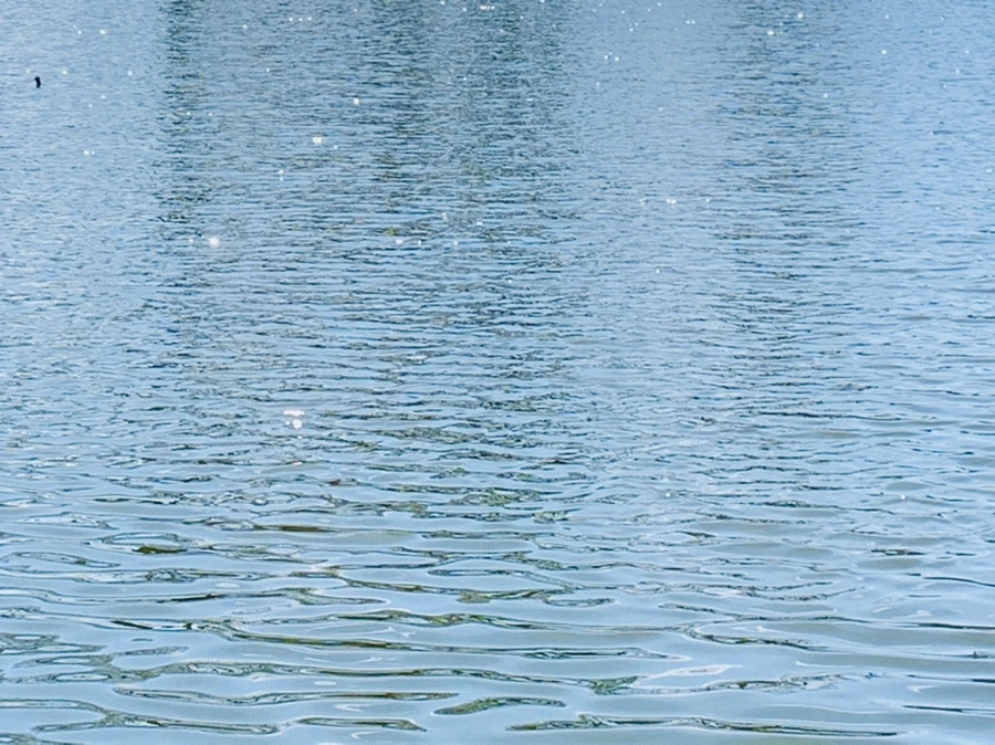 IMG_4453.jpg?type=w966