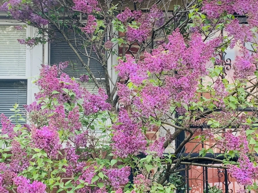 IMG_2839.jpg?type=w966