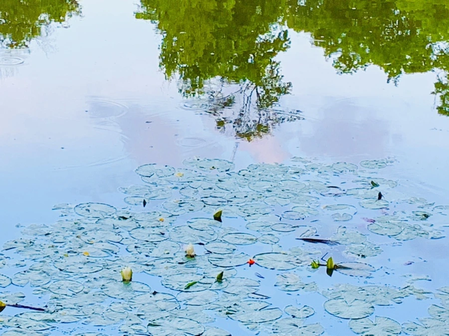 IMG_2985.jpg?type=w966