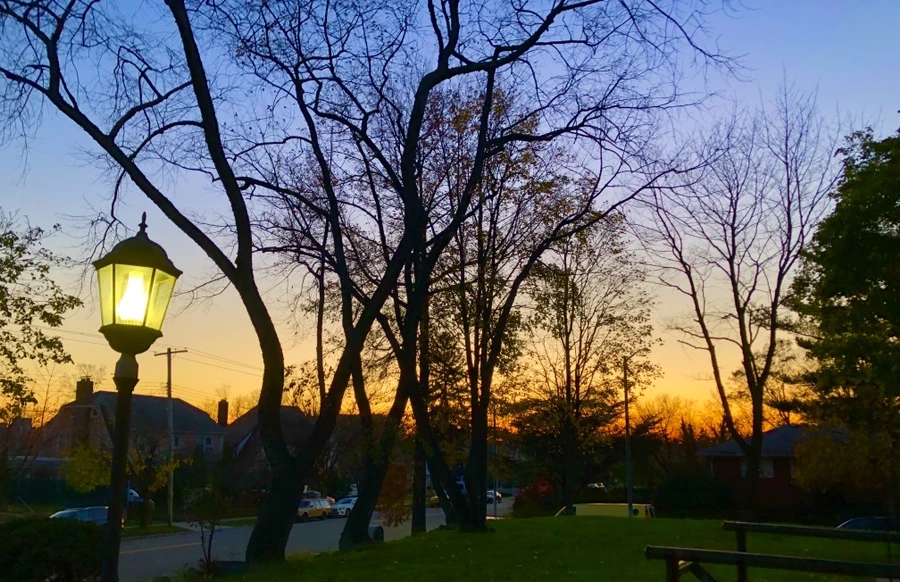 IMG_4869.jpg?type=w966