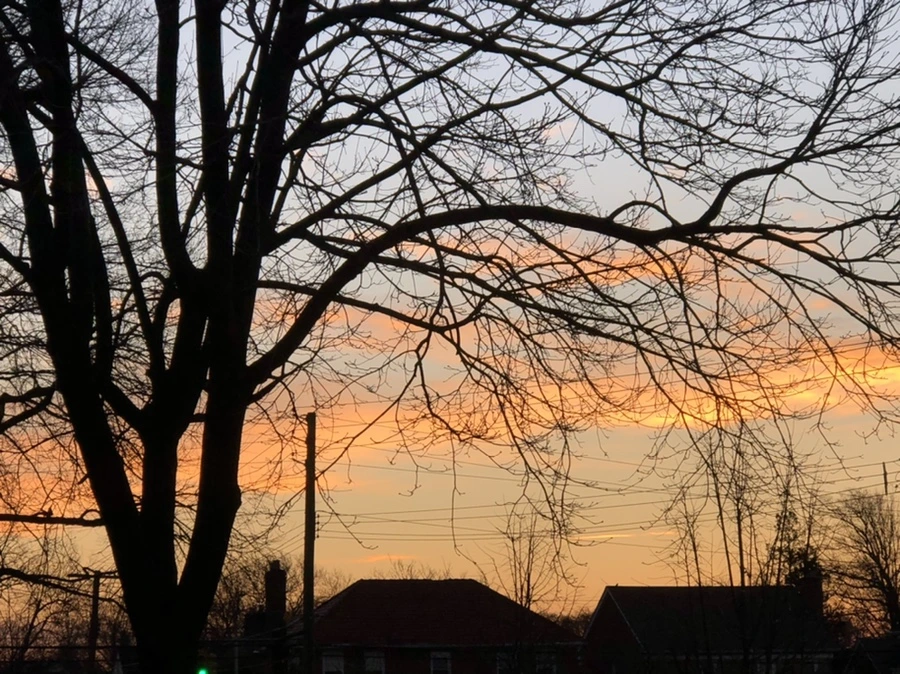 IMG_4621.jpg?type=w966