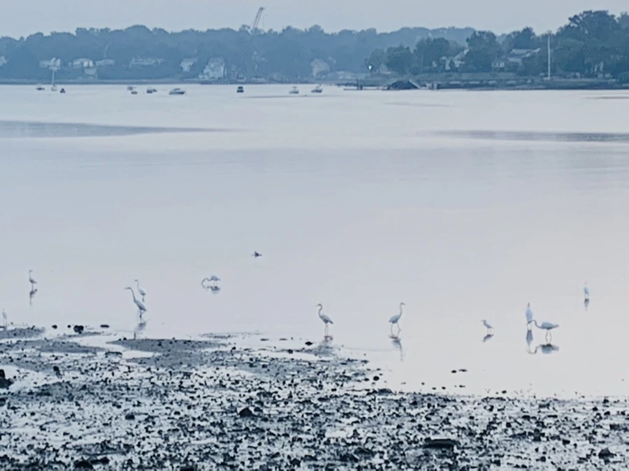 IMG_8157.jpg?type=w966