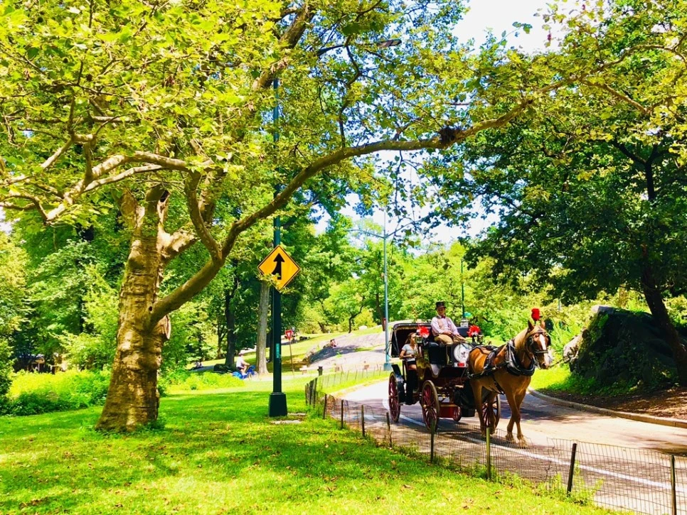 IMG_7770.jpg?type=w966