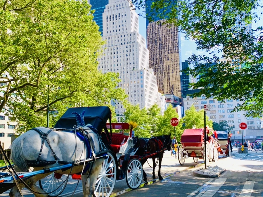 IMG_4535.jpg?type=w966