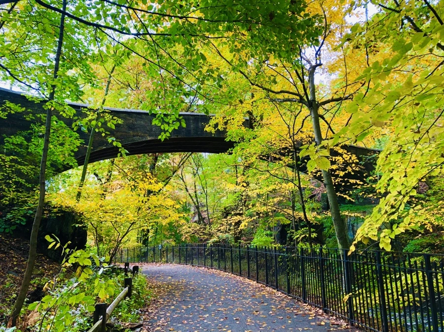 IMG_2278.jpg?type=w966