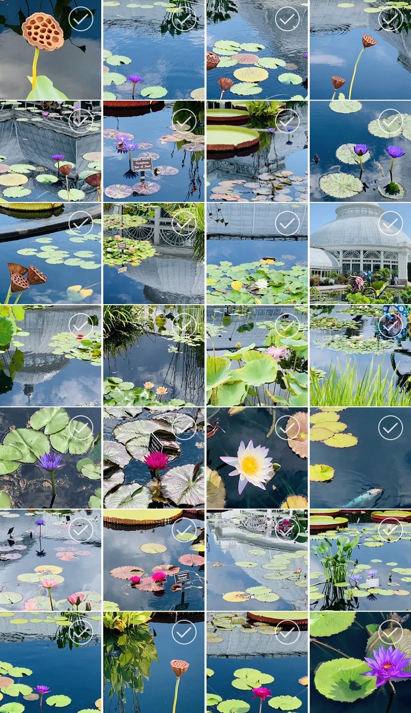 IMG_1178.jpg?type=w966