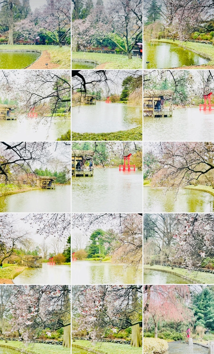 IMG_7553.jpg?type=w966