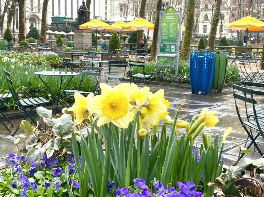 IMG_8678.jpg?type=w966