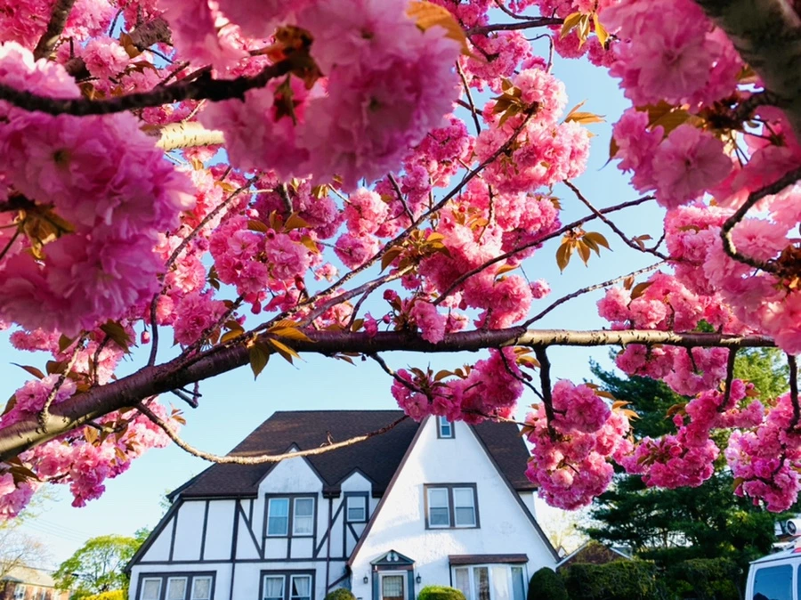 IMG_4975.jpg?type=w966