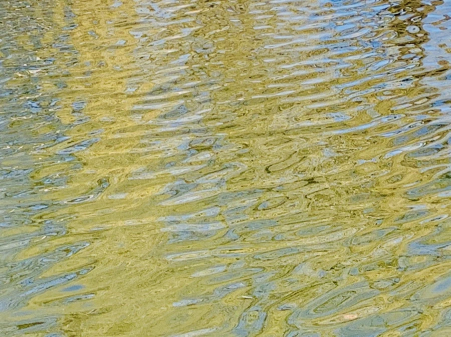 IMG_0633.jpg?type=w966