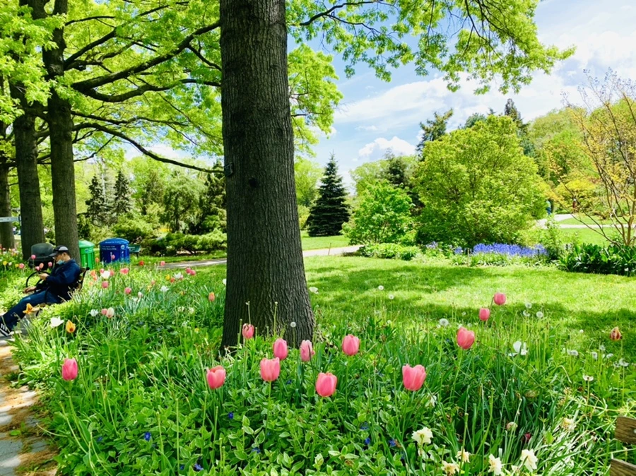 IMG_1408.jpg?type=w966