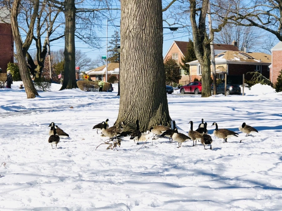 IMG_3963.jpg?type=w966