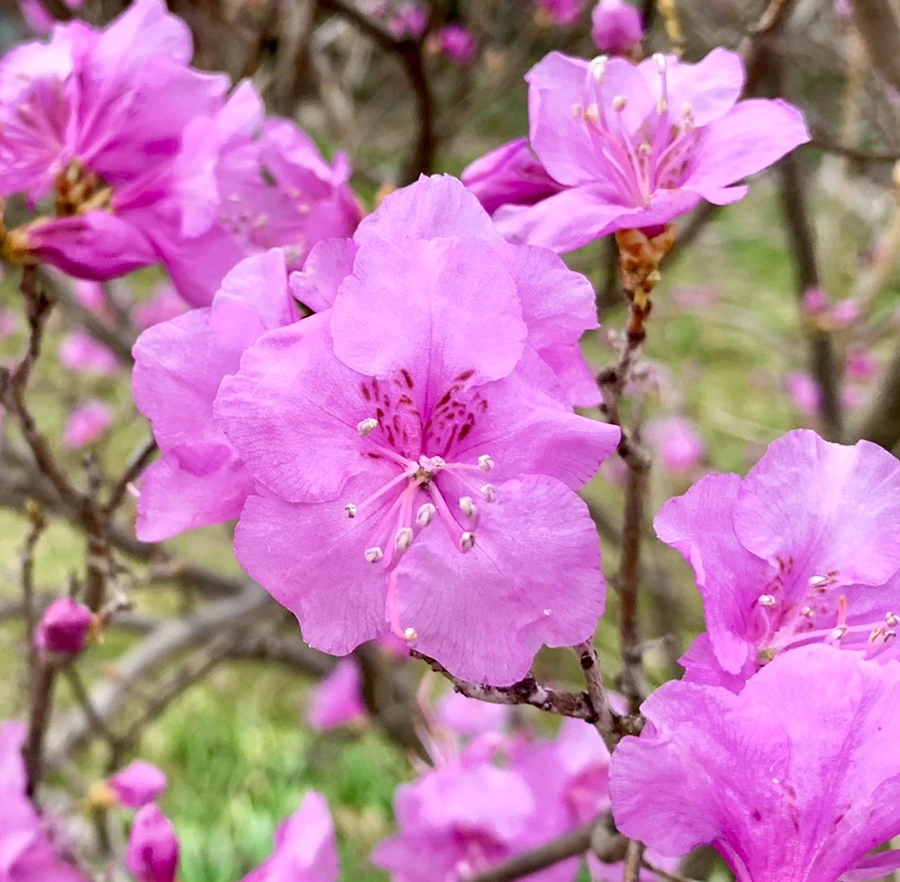 IMG_4679.jpg?type=w966