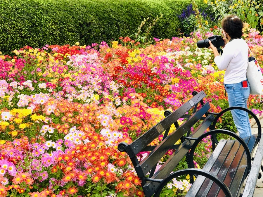 IMG_2462.jpg?type=w966