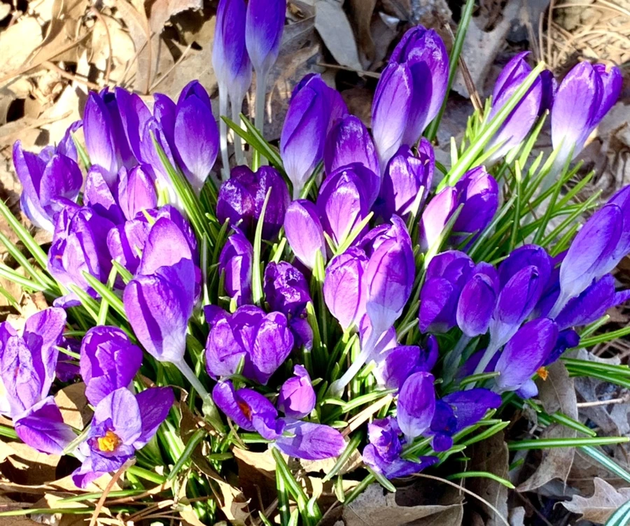 IMG_1503.jpg?type=w966