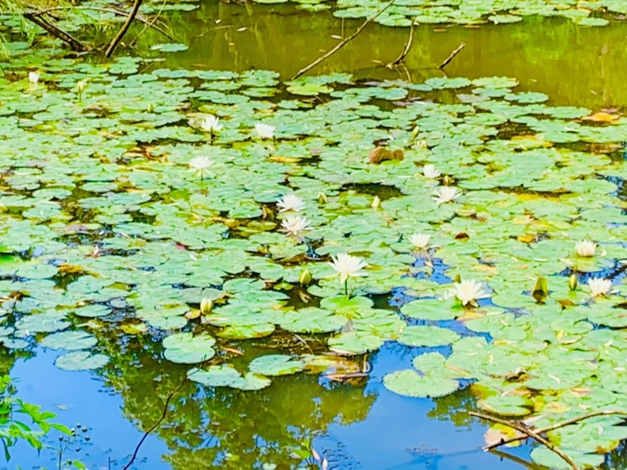 IMG_9292.jpg?type=w966