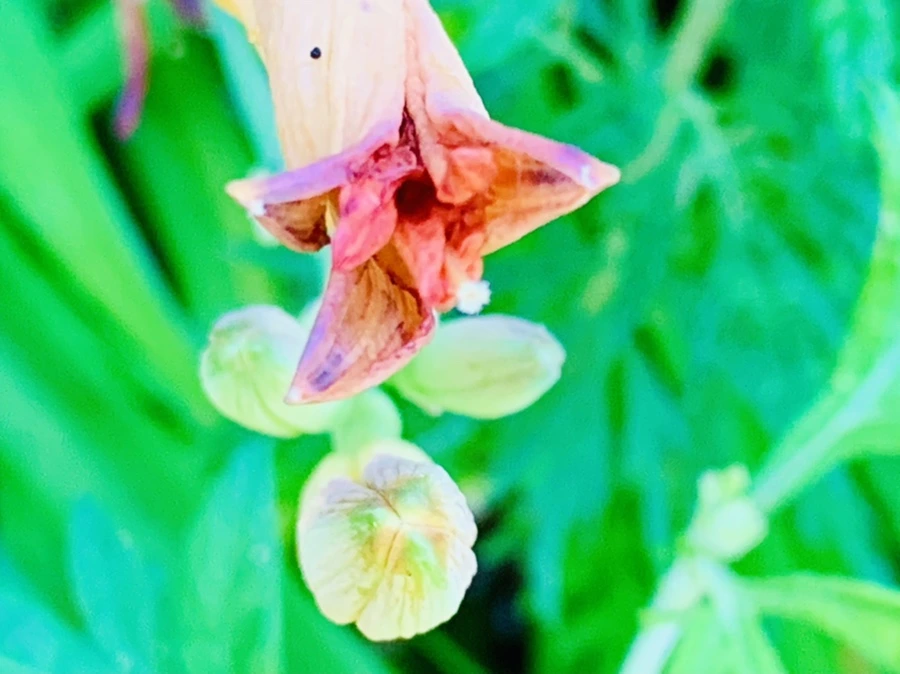 IMG_4876.jpg?type=w966