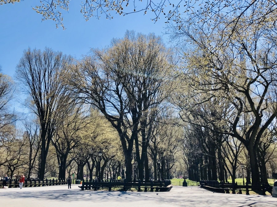 IMG_6638.jpg?type=w966