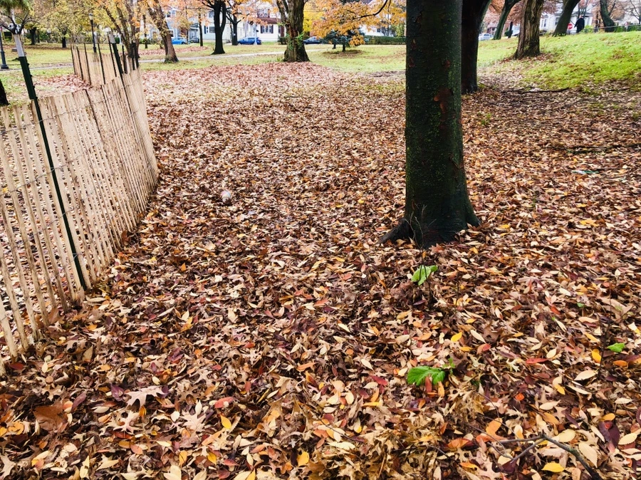 IMG_5445.jpg?type=w966