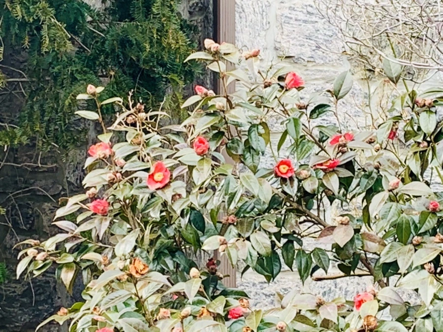 IMG_7680.jpg?type=w966