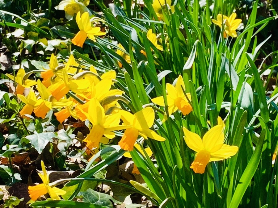 IMG_5732.jpg?type=w966