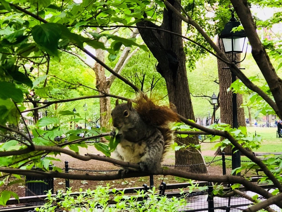 IMG_5882.jpg?type=w966