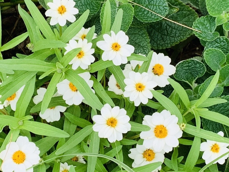 eG09dvhfHIci3KkcwzLGCdbDDCE