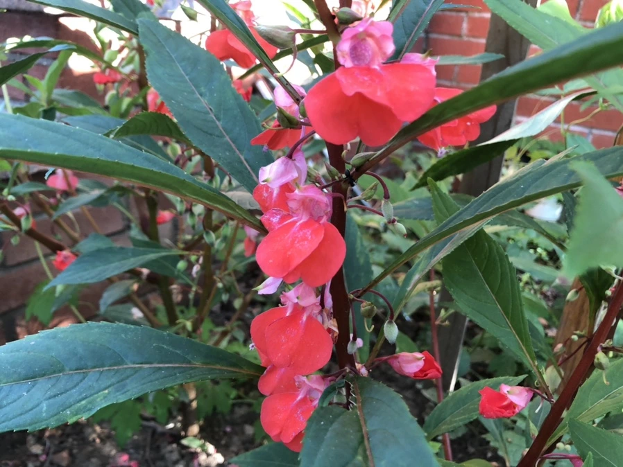 IMG_5673.jpg?type=w966