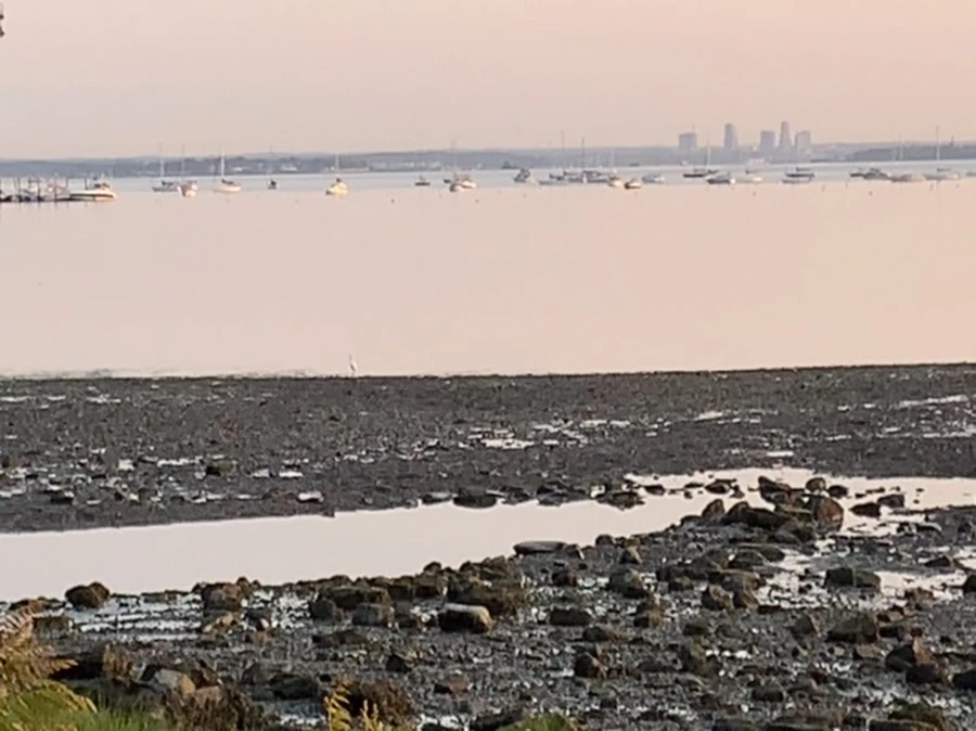 IMG_9581.jpg?type=w966