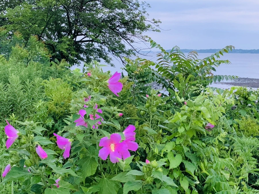 IMG_0706.jpg?type=w966