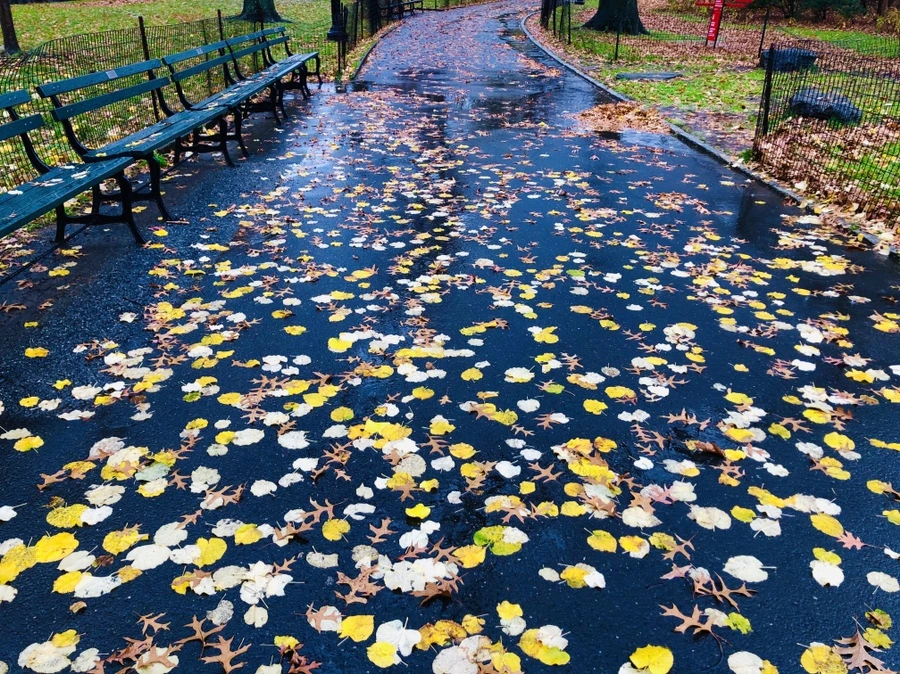 IMG_5733.jpg?type=w966