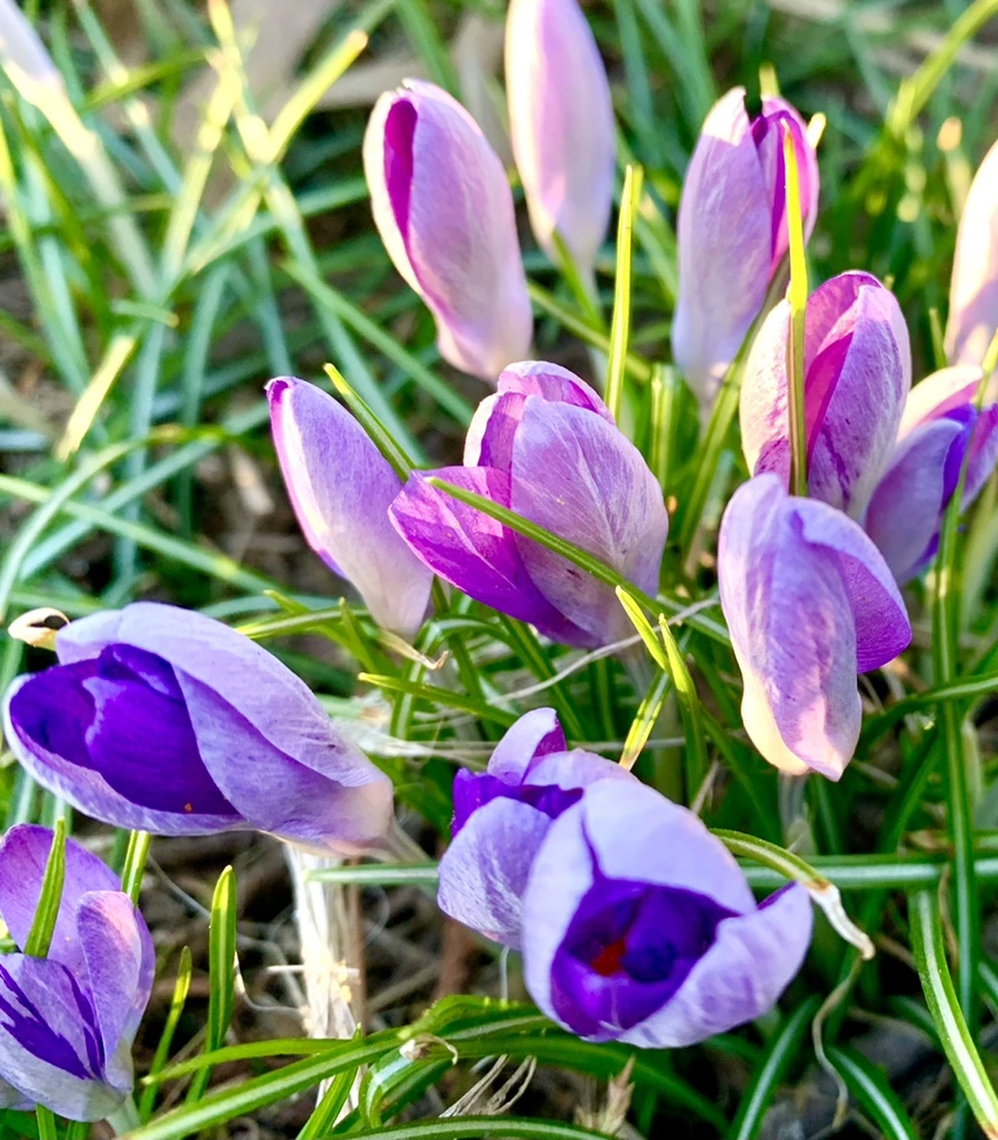 IMG_0757.jpg?type=w966