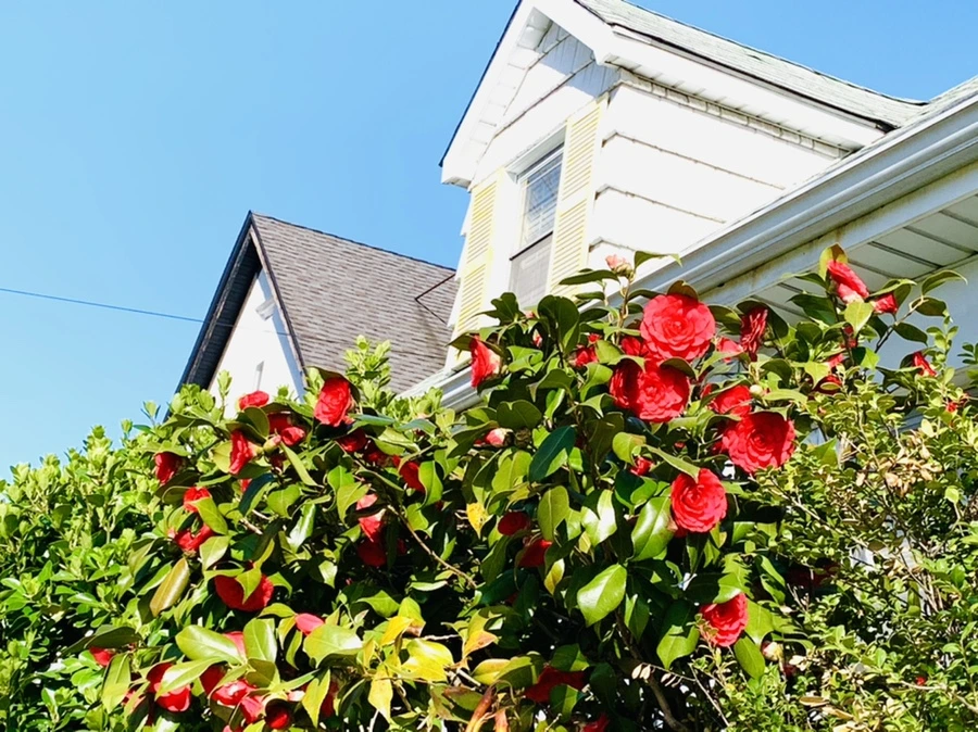 IMG_7494.jpg?type=w966