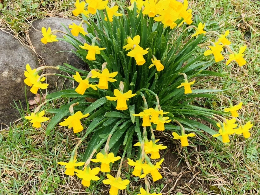 IMG_5338.jpg?type=w966