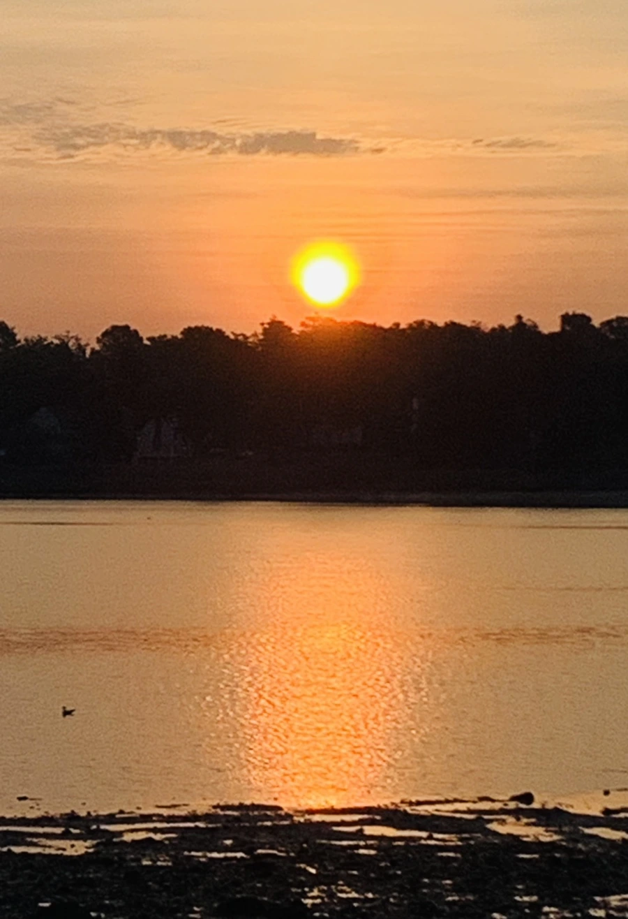 IMG_7732.jpg?type=w966