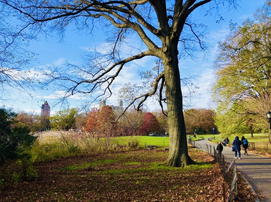 n4ER00C7QuPBLy3sZSrTZlACpUI