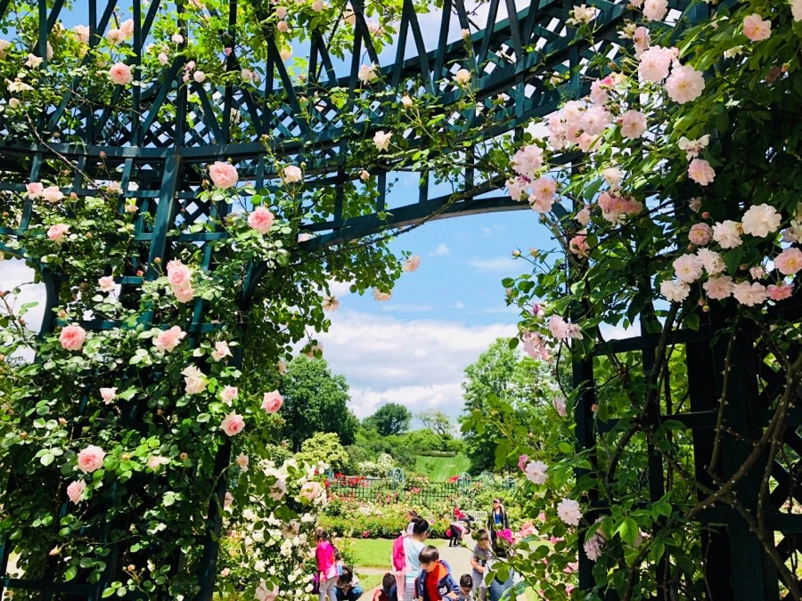 IMG_7183.jpg?type=w966