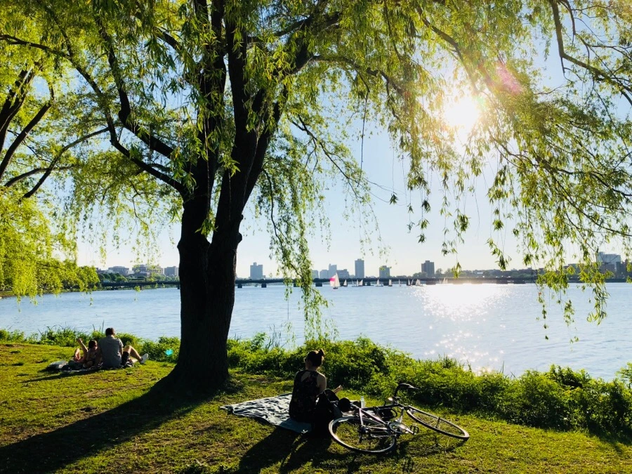 IMG_6779.jpg?type=w966