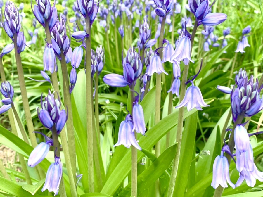 IMG_9582.jpg?type=w966